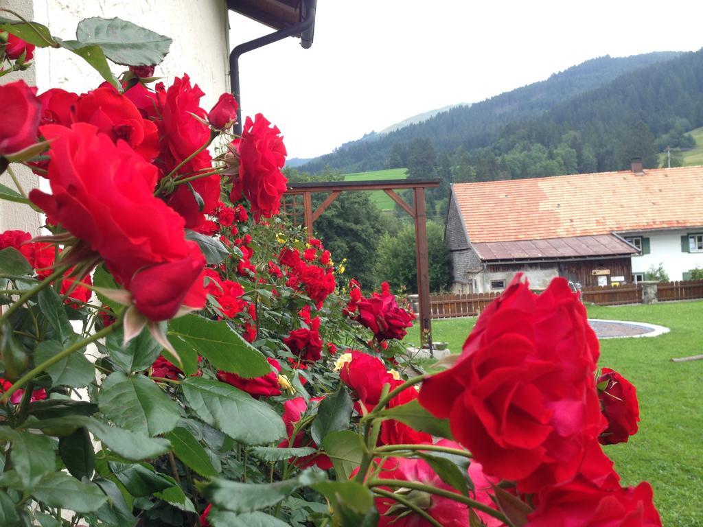 Apartmán Bergquell Tirol Jungholz Exteriér fotografie